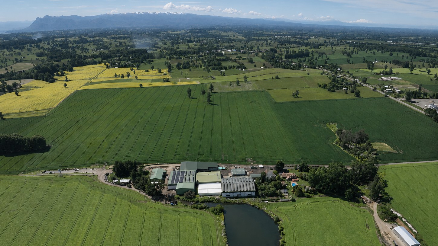 Vista aérea de la planta y los campos de Huertos del Ranco en Lago Ranco, Región de Los Ríos