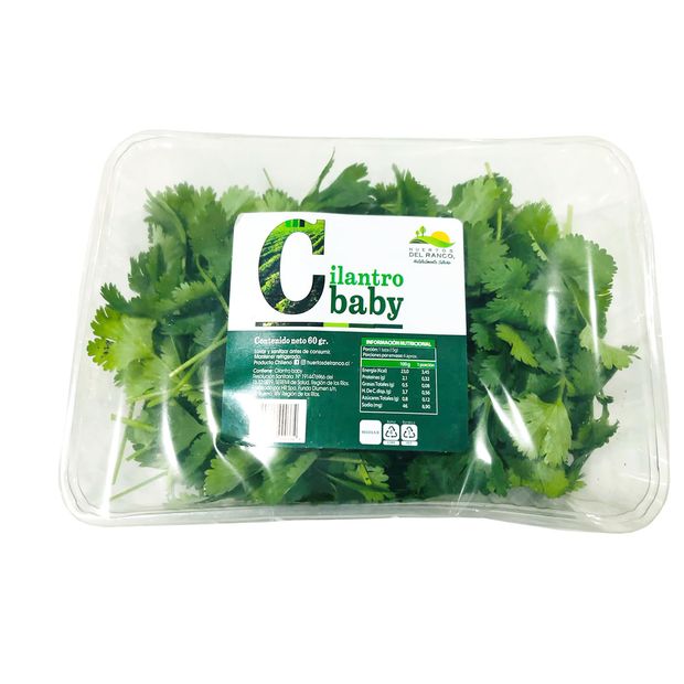 Cilantro Baby — Huertos del Ranco